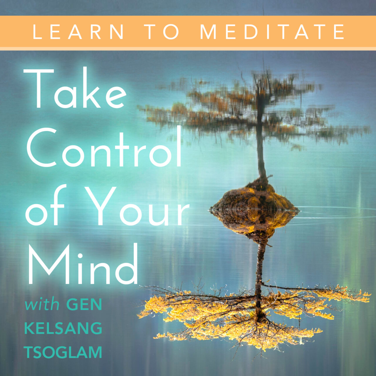 take-control-of-your-mind-atisha-kadampa-buddhist-center